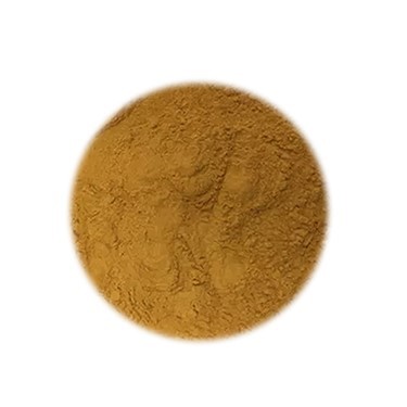 Ginkgo Biloba Standardized Extract